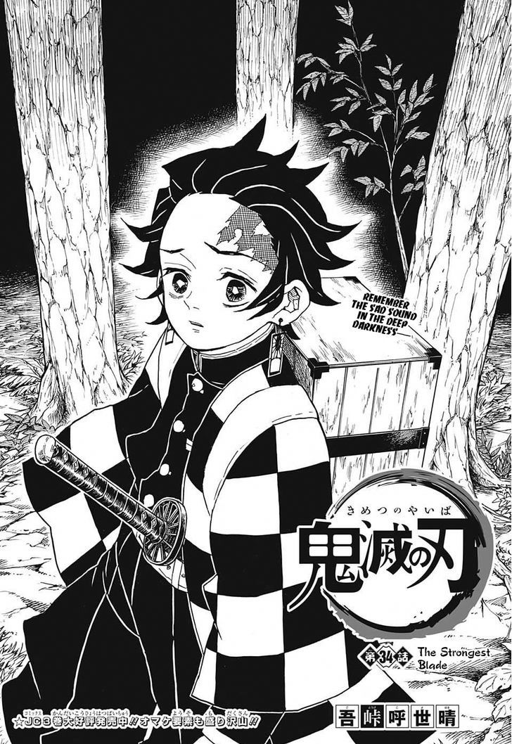 Kimetsu No Yaiba 34 1