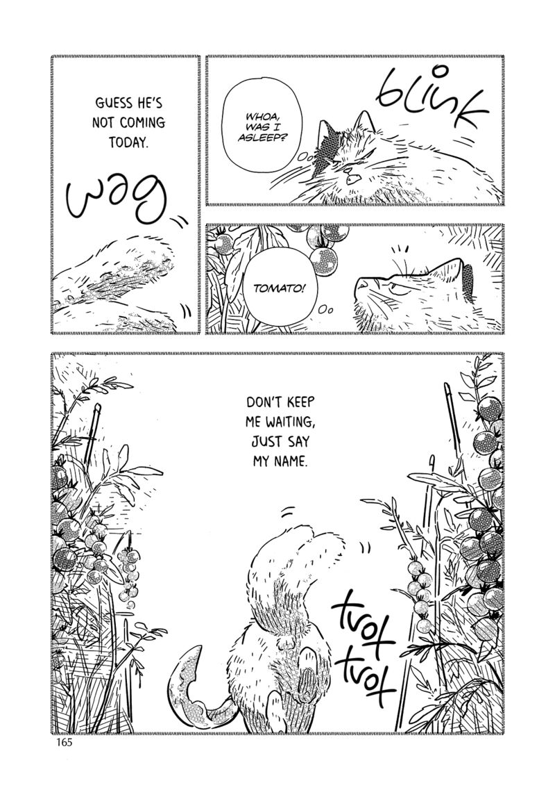 Kogareru Neko To Tomato 6 19