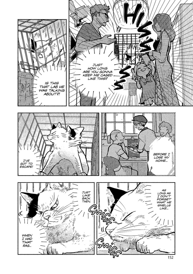 Kogareru Neko To Tomato 6 6