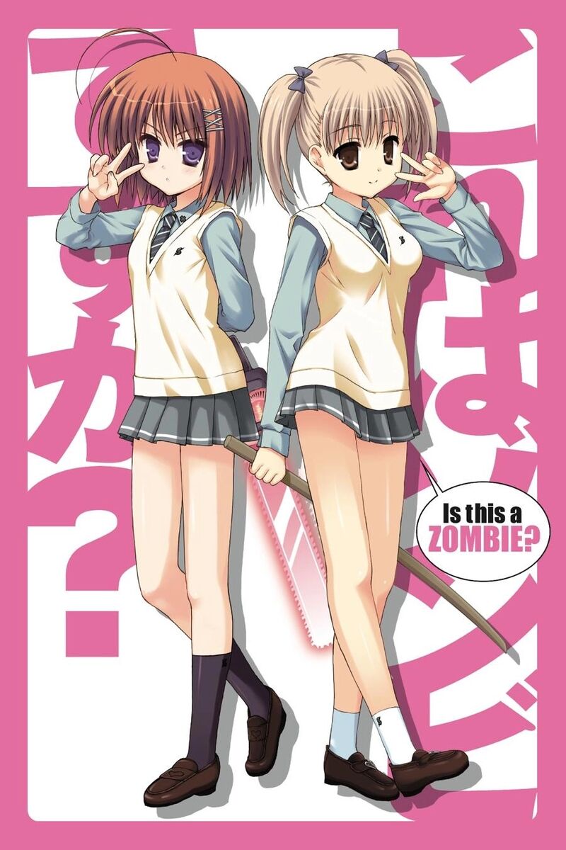 Kore Wa Zombie Desu Ka 17 2