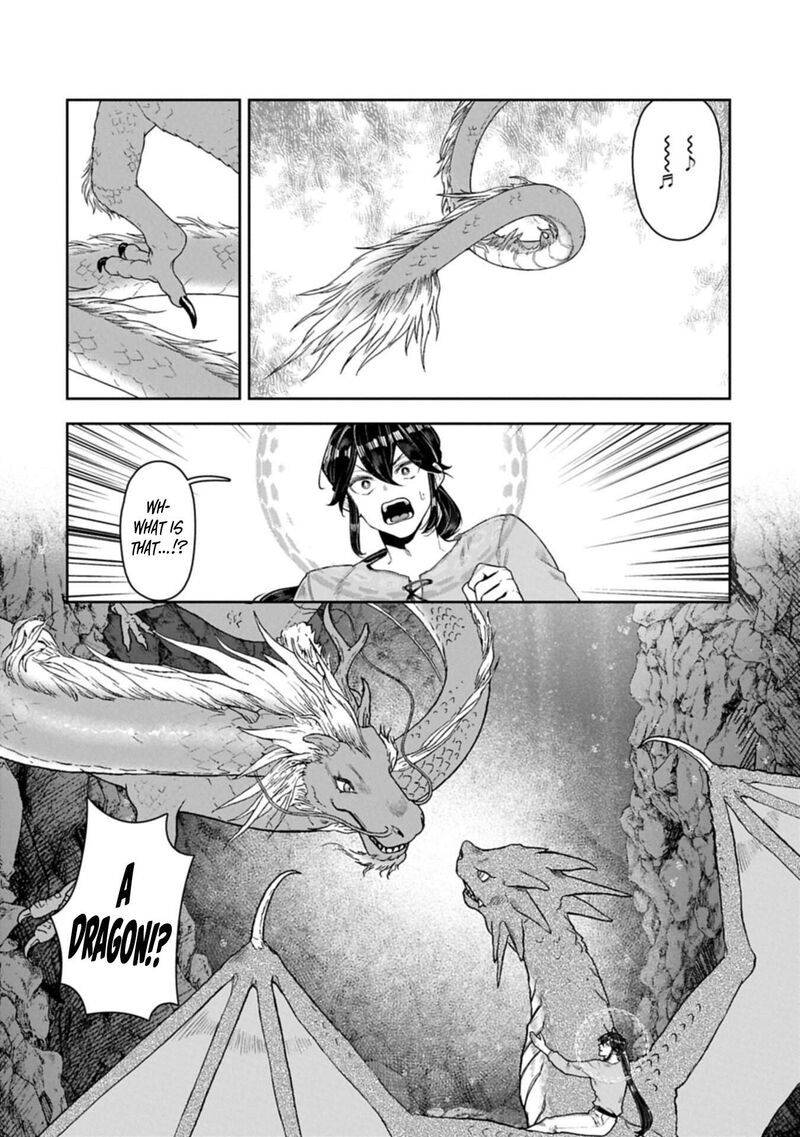 Kuni Ni Saikyou No Barrier Wo Hattara Heiwa Ni Narisugite Tsuihou Saremashita Sono Barrier Eizoku Janai Yo 21 25