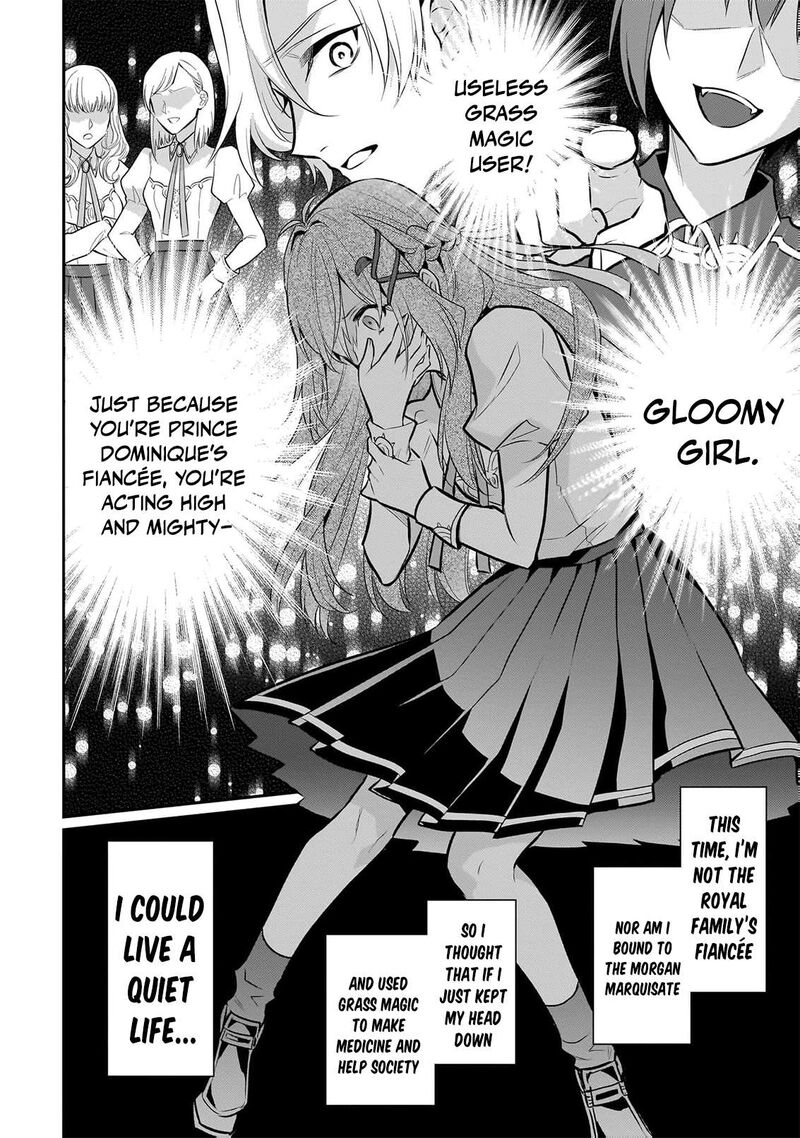 Kusa Mahoushi Chloe No Nidome No Jinsei Jiyuu Ni Natte Ko Dragon To Level Max Yakushi Life 22 25