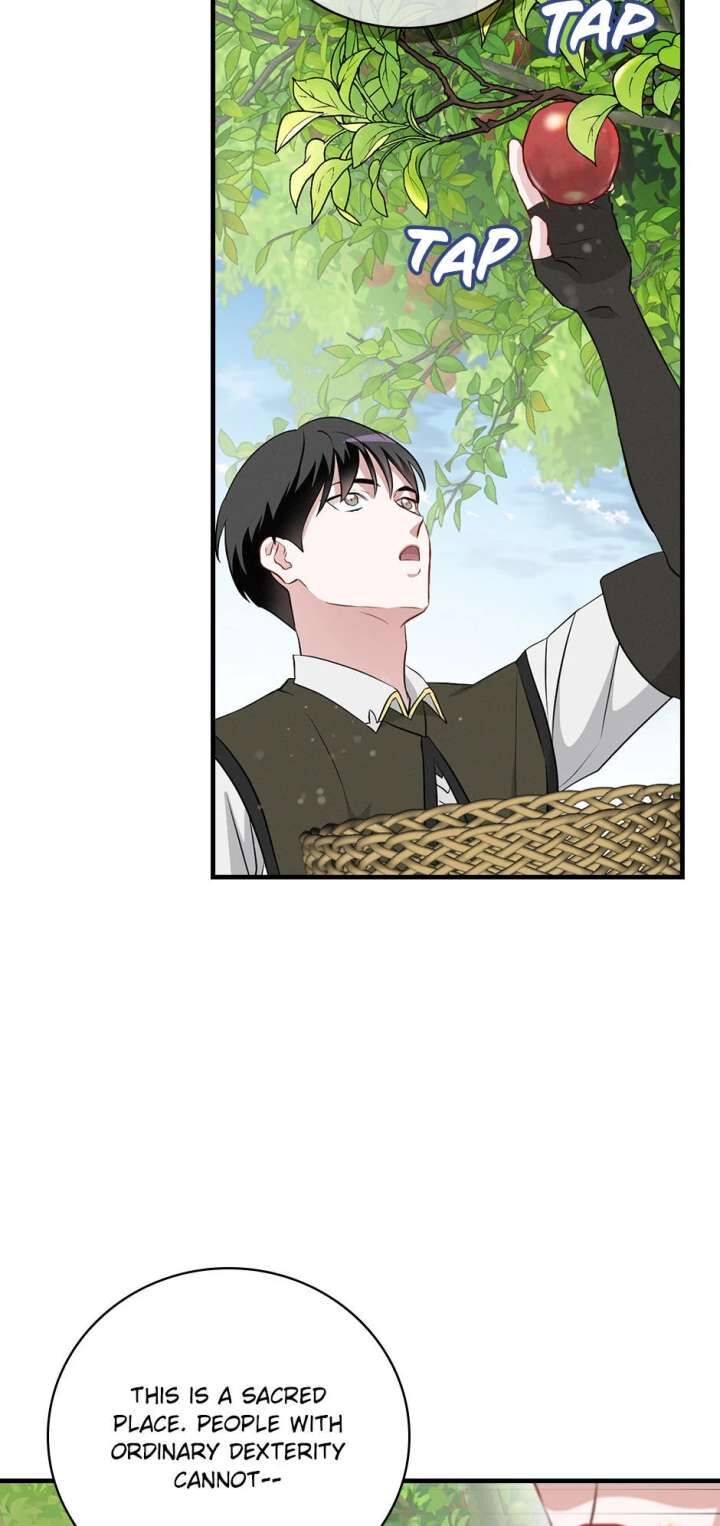 Leveling Up By Only Eating 207 45