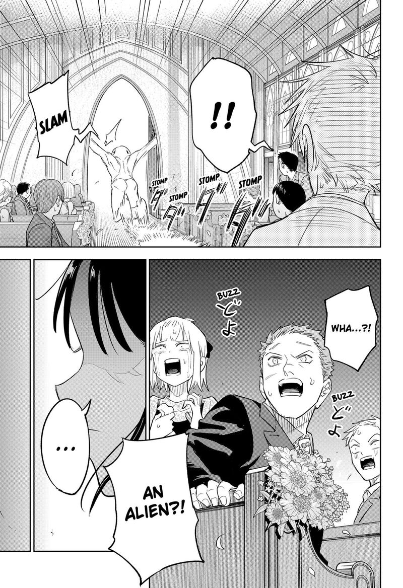 Lunatic Terrapop 35 36