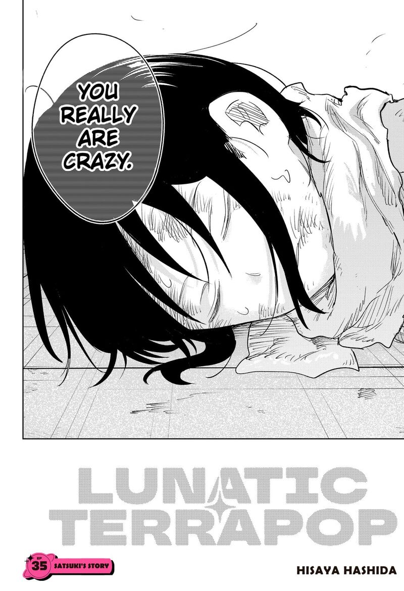 Lunatic Terrapop 35 4