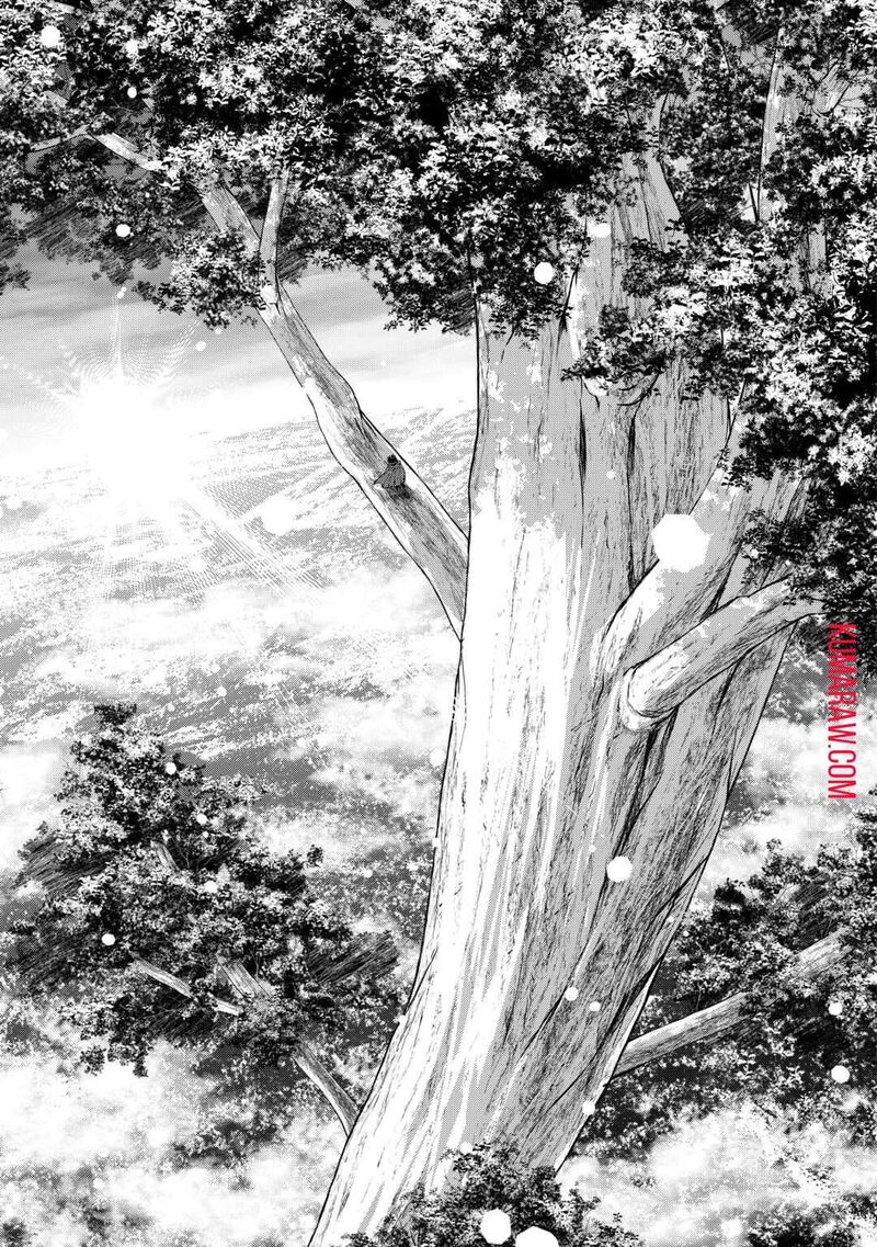 Machigai Shoukan Oidasareta Kedo Joui Gokan Skill De Rakuraku Seikatsu 25 5