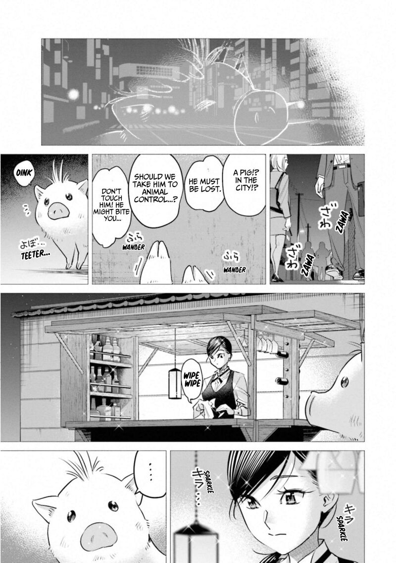 Madoromi Barmaid 41 19