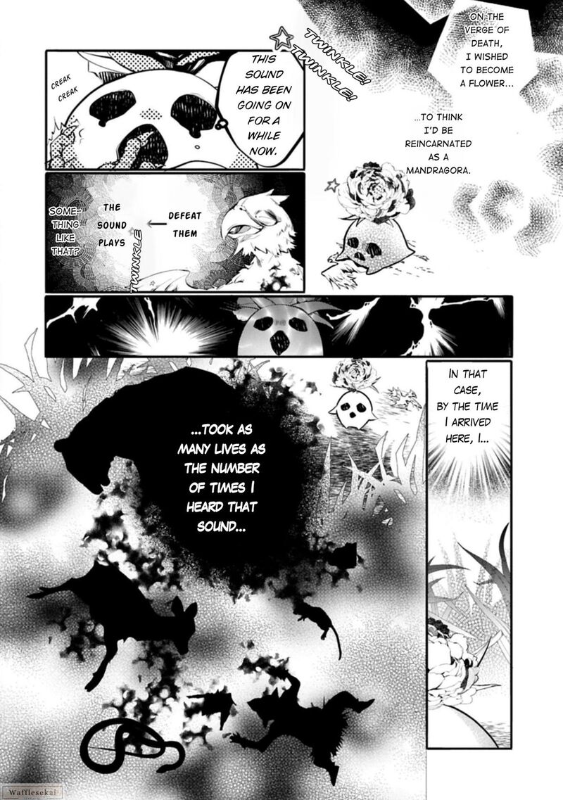 Mandragora Tte Baretara Toubatsu Desu Ka Hana No Majo No Hohoemi Wa Kanchigai No Tane O Maku 1 13