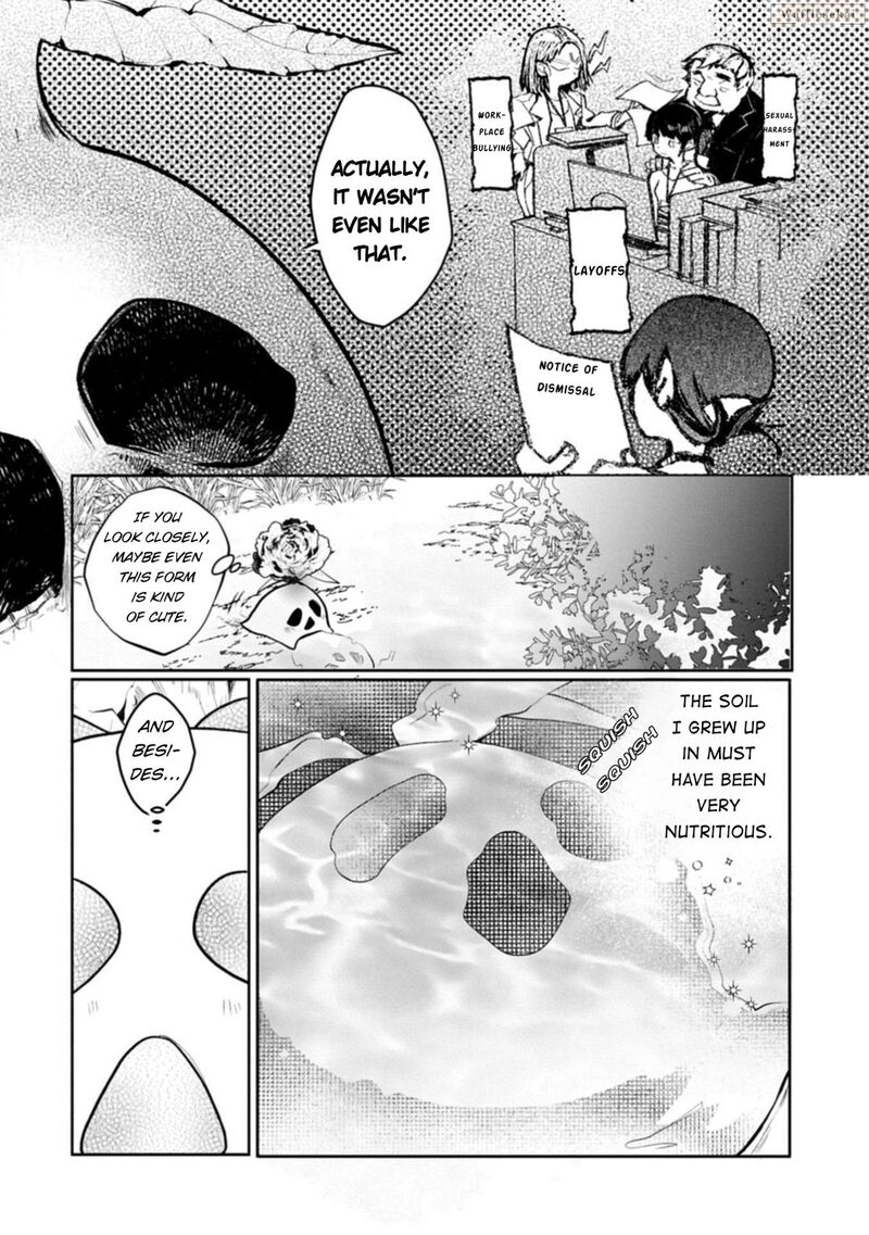 Mandragora Tte Baretara Toubatsu Desu Ka Hana No Majo No Hohoemi Wa Kanchigai No Tane O Maku 1 15