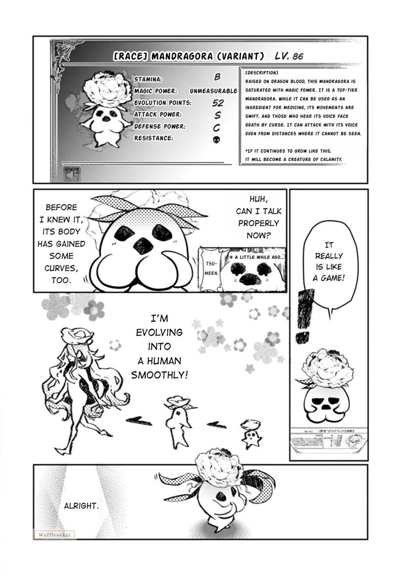 Mandragora Tte Baretara Toubatsu Desu Ka Hana No Majo No Hohoemi Wa Kanchigai No Tane O Maku 1 33
