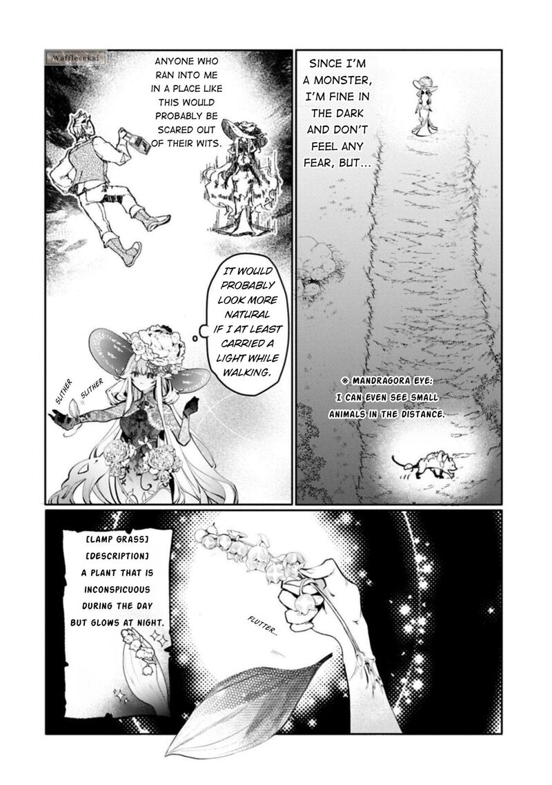 Mandragora Tte Baretara Toubatsu Desu Ka Hana No Majo No Hohoemi Wa Kanchigai No Tane O Maku 2 38