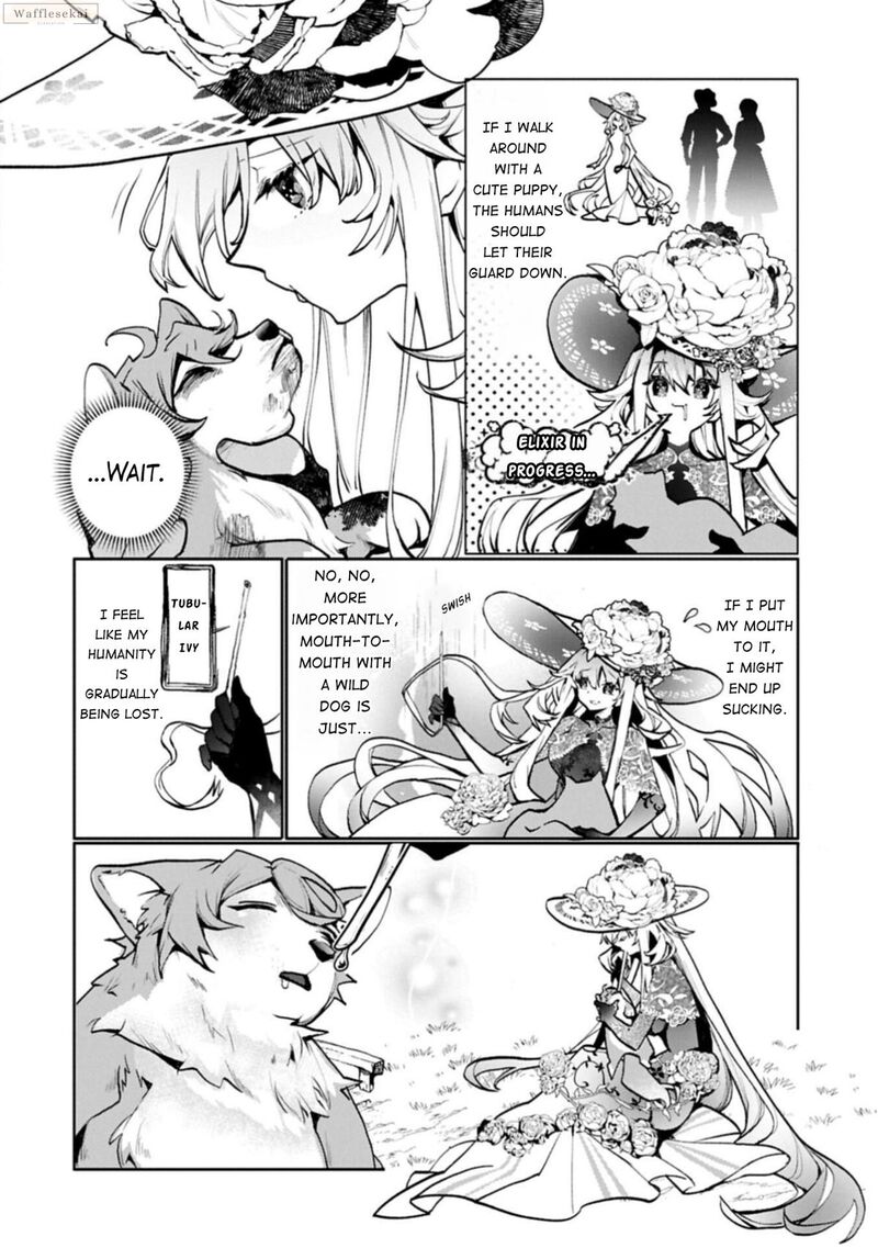 Mandragora Tte Baretara Toubatsu Desu Ka Hana No Majo No Hohoemi Wa Kanchigai No Tane O Maku 3 4