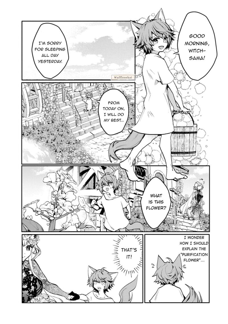 Mandragora Tte Baretara Toubatsu Desu Ka Hana No Majo No Hohoemi Wa Kanchigai No Tane O Maku 5 16