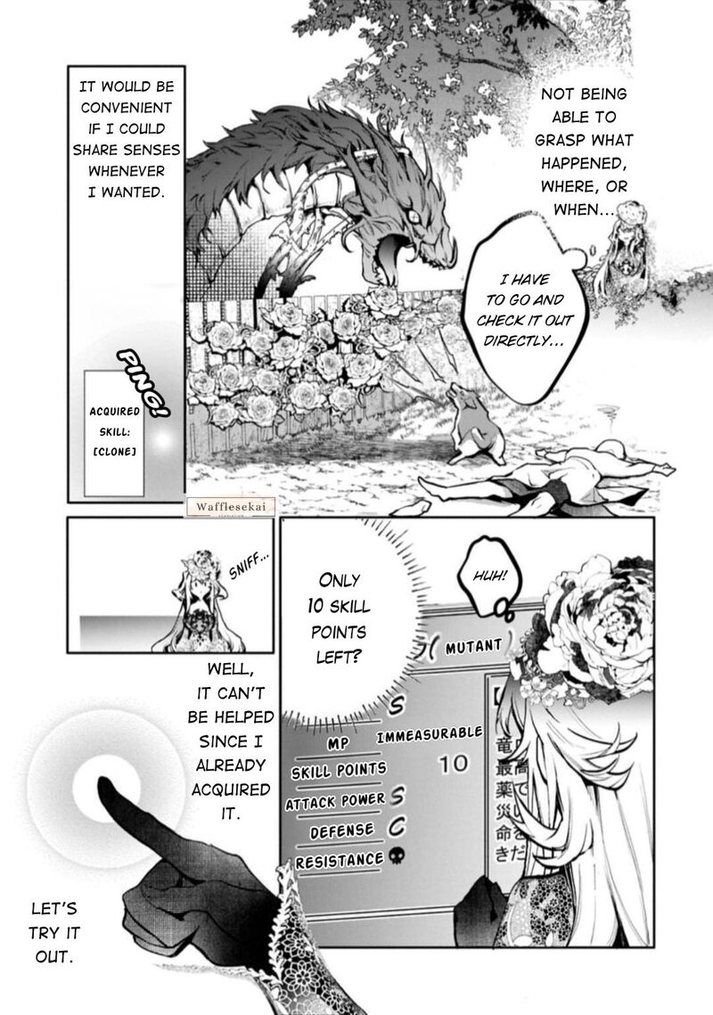 Mandragora Tte Baretara Toubatsu Desu Ka Hana No Majo No Hohoemi Wa Kanchigai No Tane O Maku 5 28
