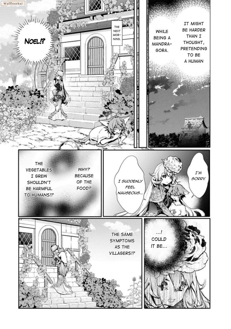 Mandragora Tte Baretara Toubatsu Desu Ka Hana No Majo No Hohoemi Wa Kanchigai No Tane O Maku 5 9