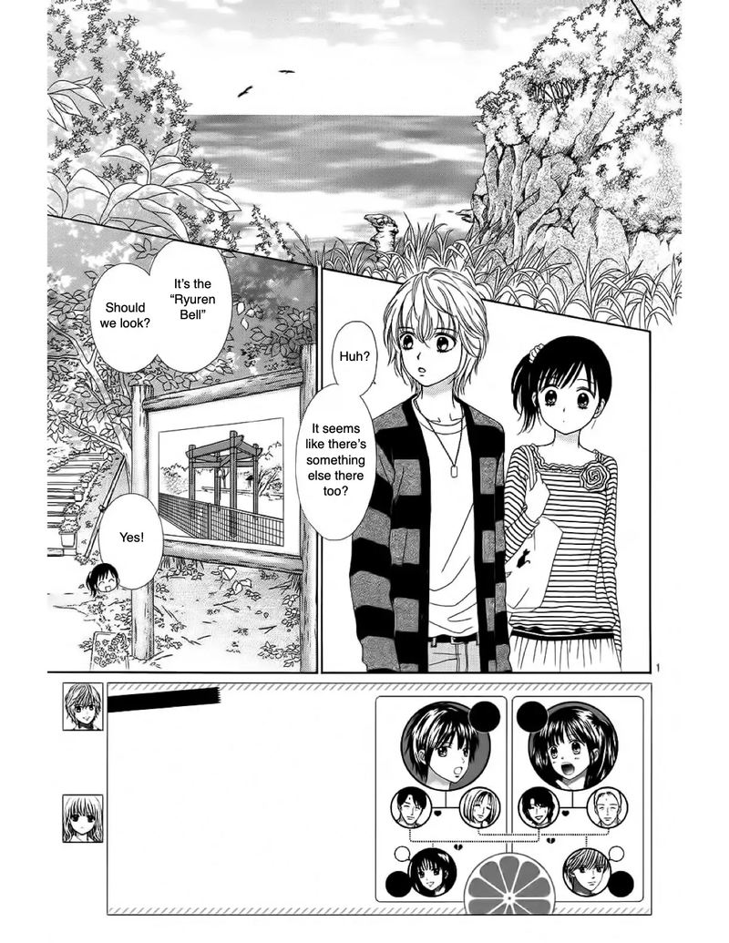 Marmalade Boy Little 15 3