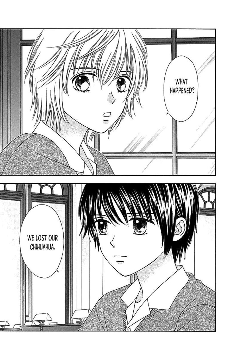 Marmalade Boy Little 29 4