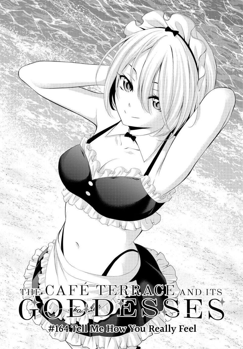 Megami No Caf Terrace 164 3