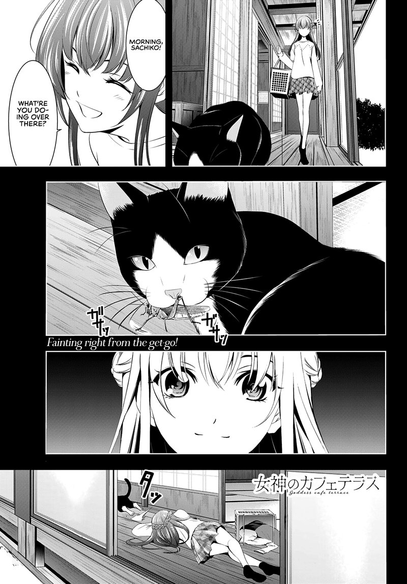 Megami No Caf Terrace 46 1