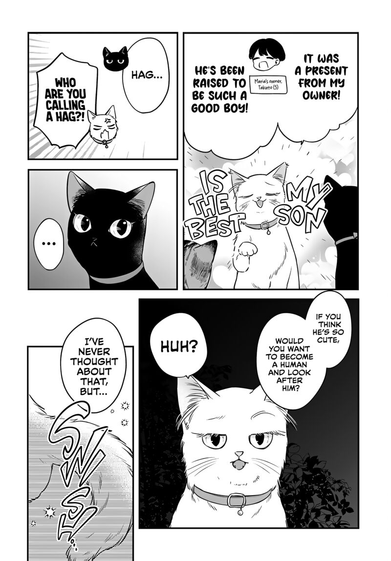 Mi Chan Wa Kawaretai 17 2