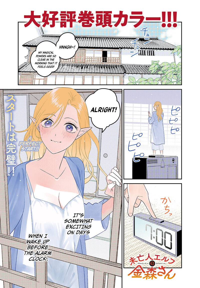 Miboujin Elf No Kanamori San 4 2