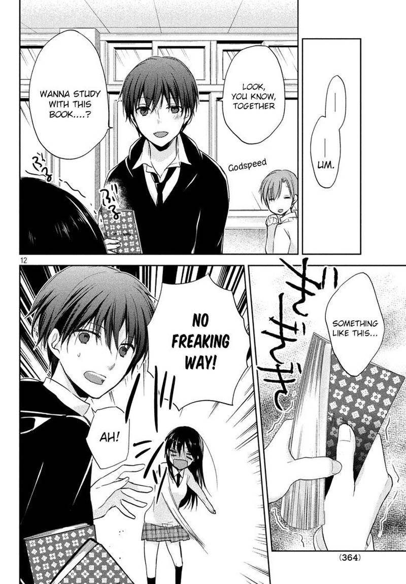 Midara Na Ao Chan Wa Benkyou Ga Dekinai 3 13