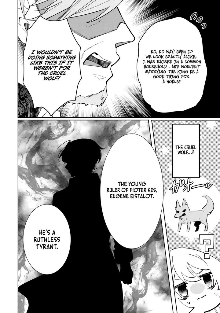 Migawari De Totsuida Reikoku Kokuou Wa Hatsukoi Aite Deshita 1 17