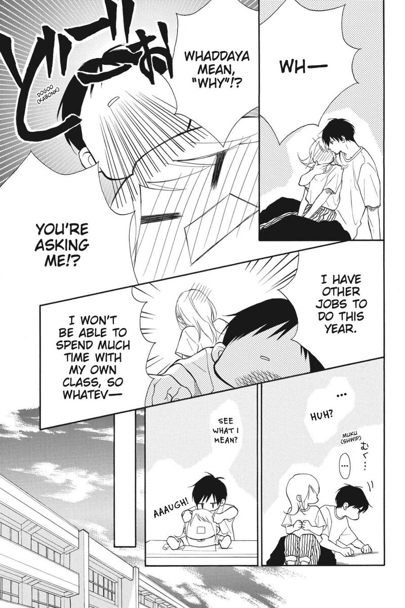 Mint Chocolate 62 12