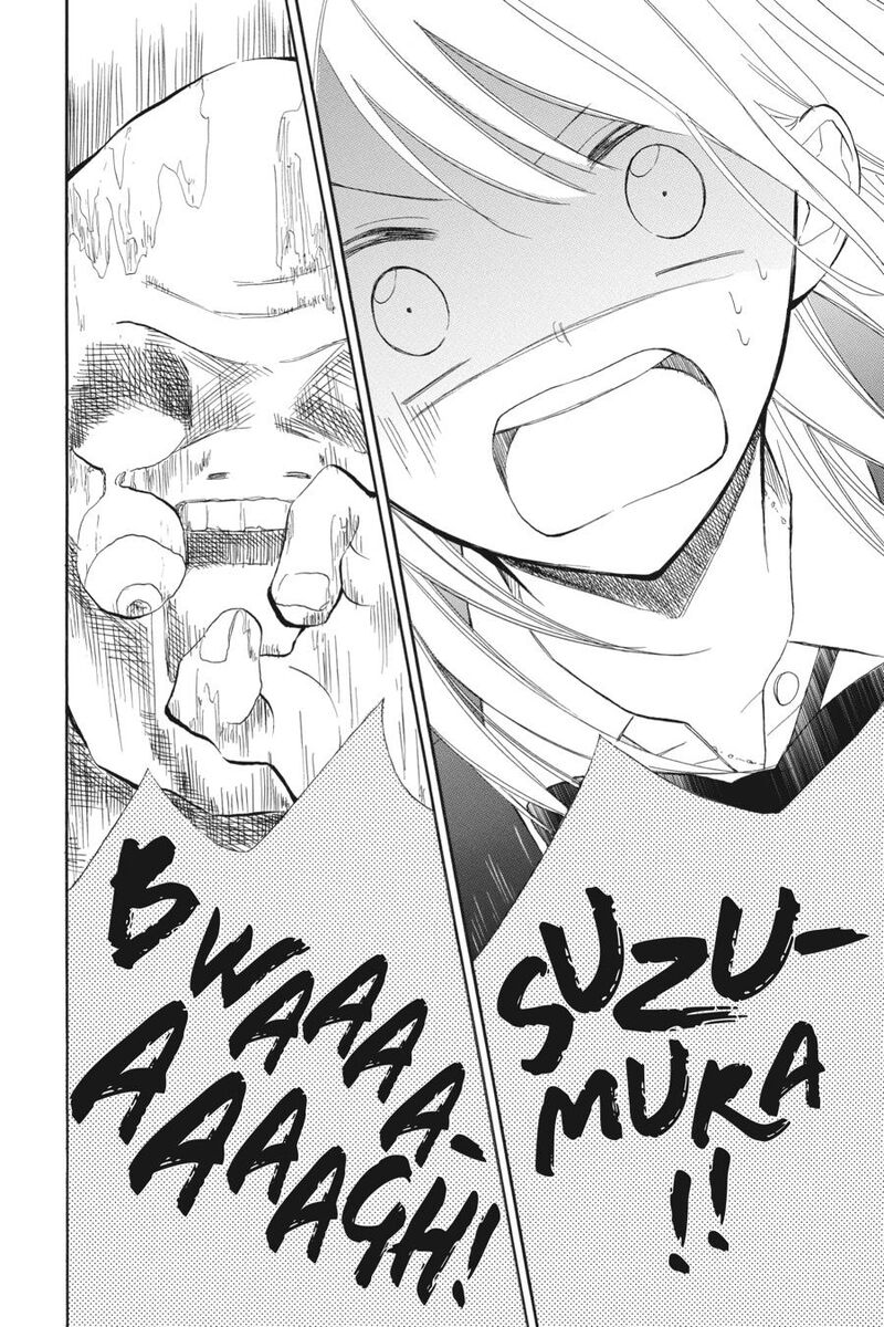 Mint Chocolate 64 20