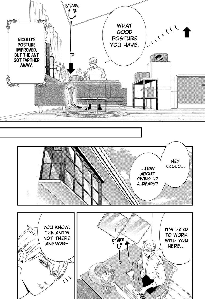 Miyaou Tarou Ga Neko Wo Kau Nante 14 9