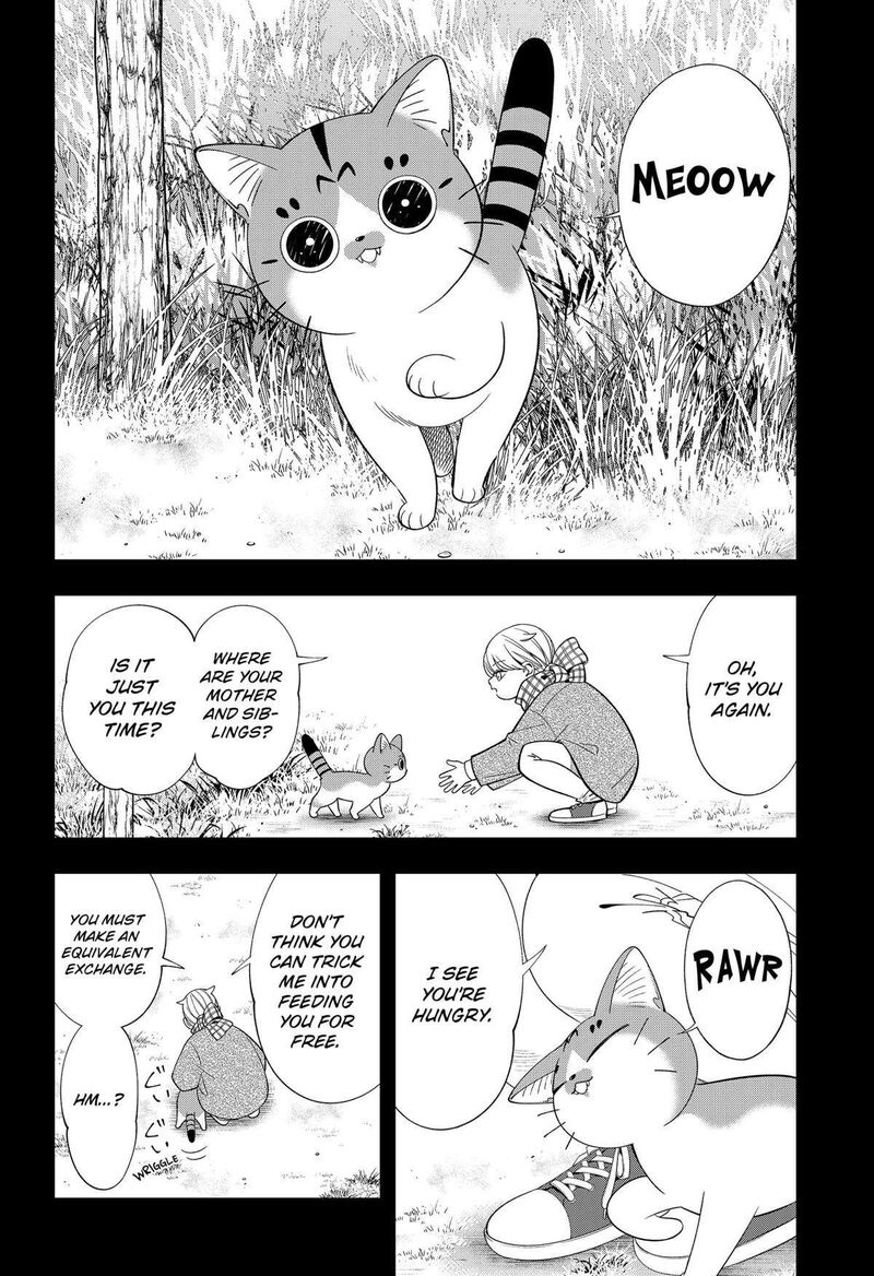 Miyaou Tarou Ga Neko Wo Kau Nante 27 6