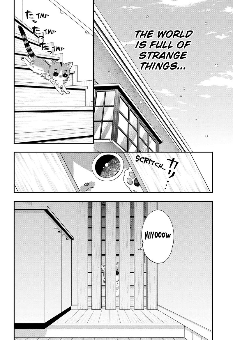 Miyaou Tarou Ga Neko Wo Kau Nante 31 14