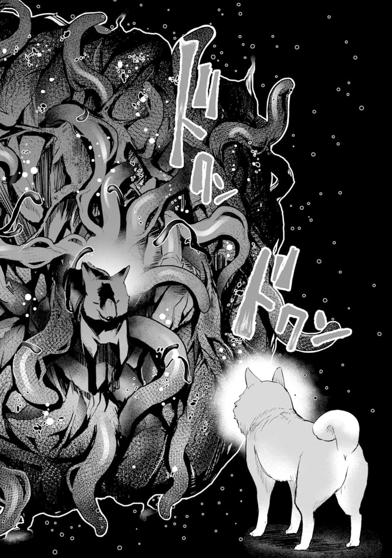 Monster Ga Afureru Sekai Ni Natta Node Suki Ni Ikitai To Omoimasu 23 12