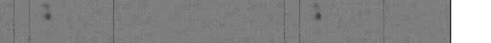 Monster Ga Afureru Sekai Ni Natta Node Suki Ni Ikitai To Omoimasu 56 46