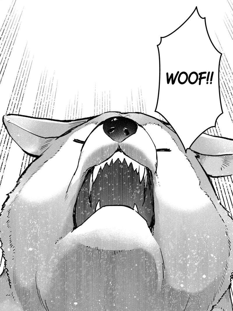 Monster Ga Afureru Sekai Ni Natta Node Suki Ni Ikitai To Omoimasu 61a 3