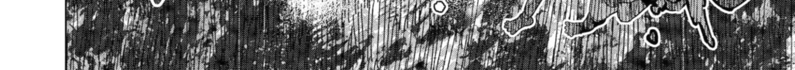 Monster Ga Afureru Sekai Ni Natta Node Suki Ni Ikitai To Omoimasu 63a 20