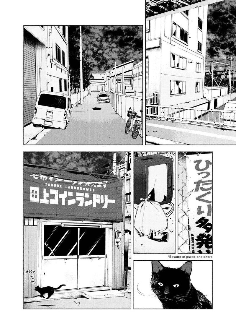 Museum The Serial Killer Is Laughing In The Rain 12 10