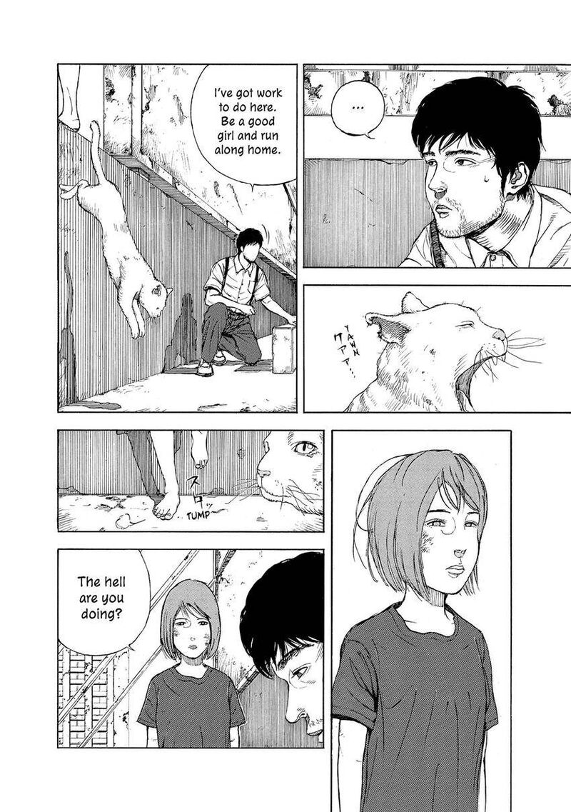 Museum The Serial Killer Is Laughing In The Rain 20 12