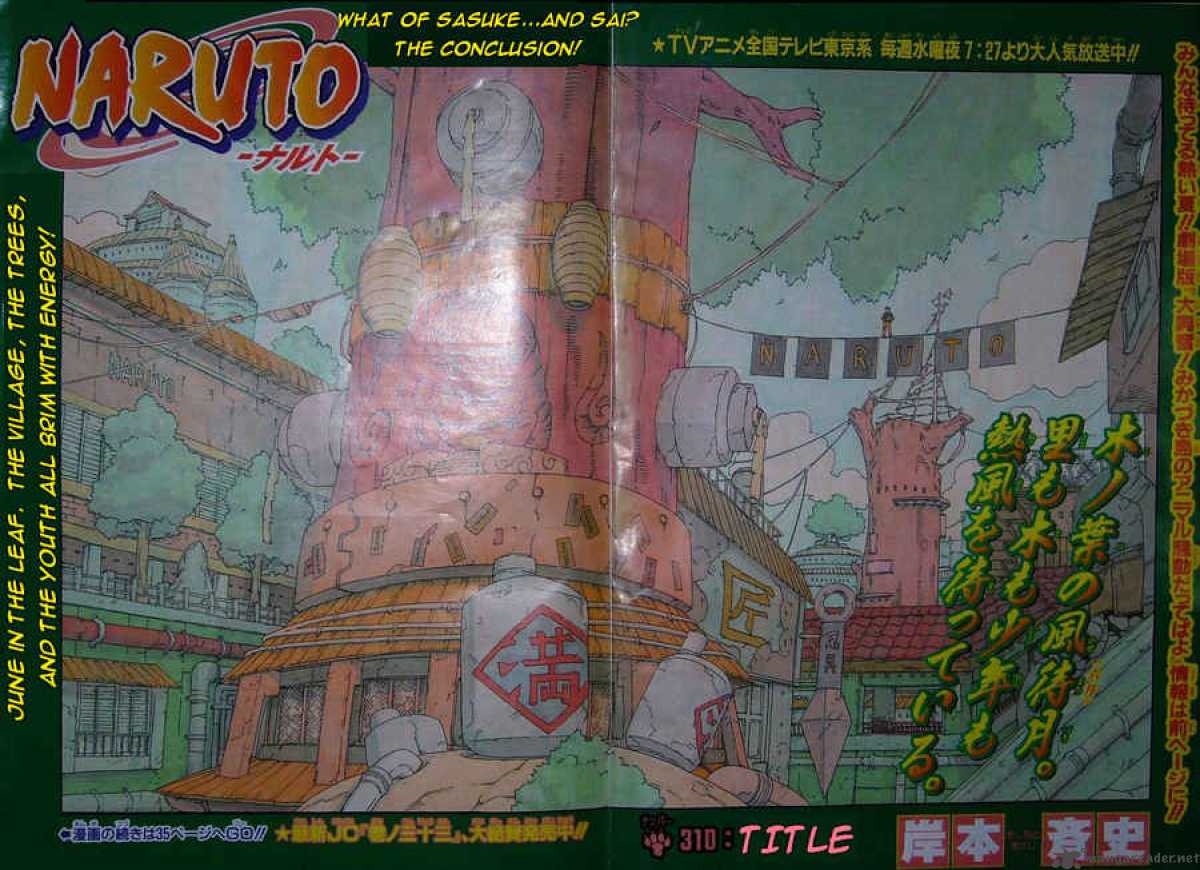 Naruto 310 1