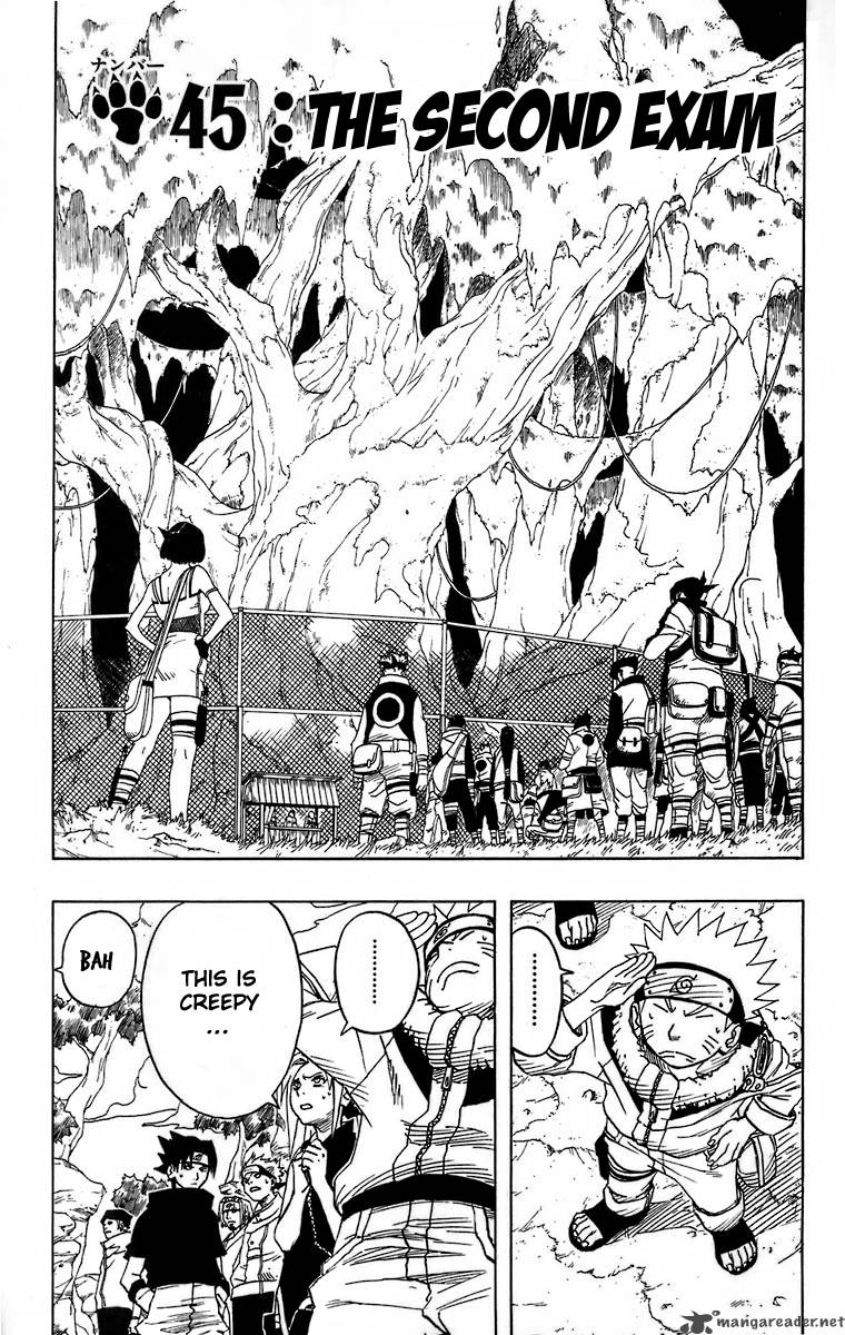 Naruto 45 1