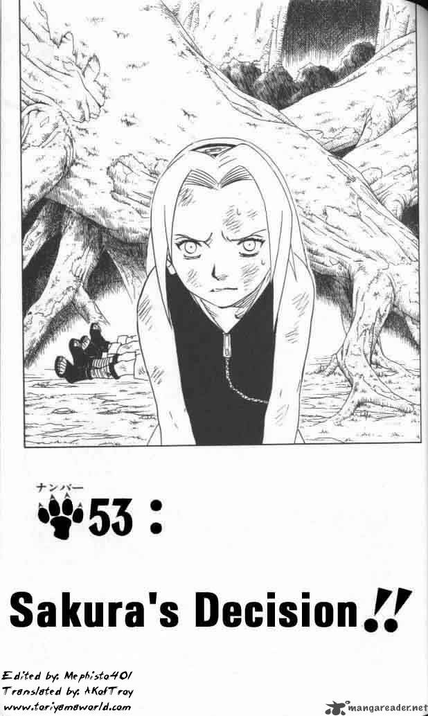 Naruto 53 1