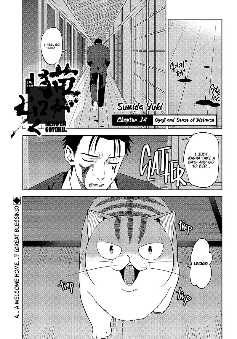 Neko Ga Gotoku 14 2