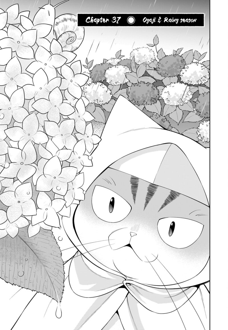 Neko Ga Gotoku 37 4