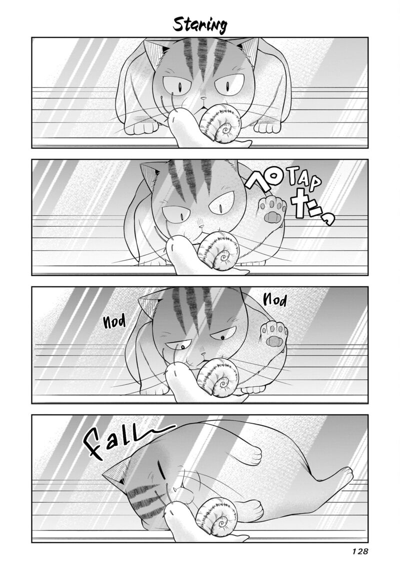 Neko Ga Gotoku 37 5