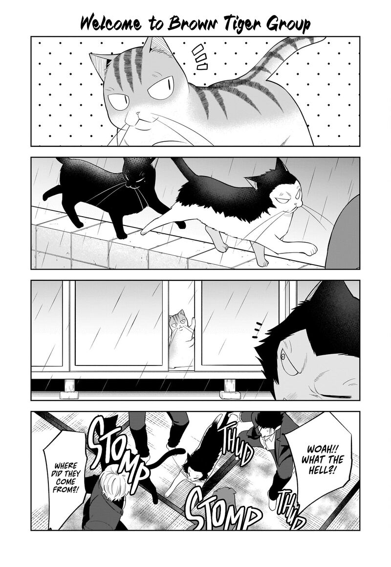 Neko Ga Gotoku 37 9