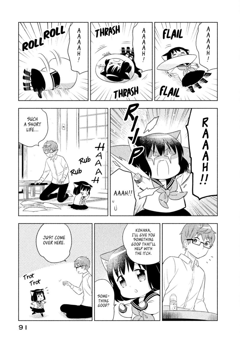 Neko No Kohana 27 5