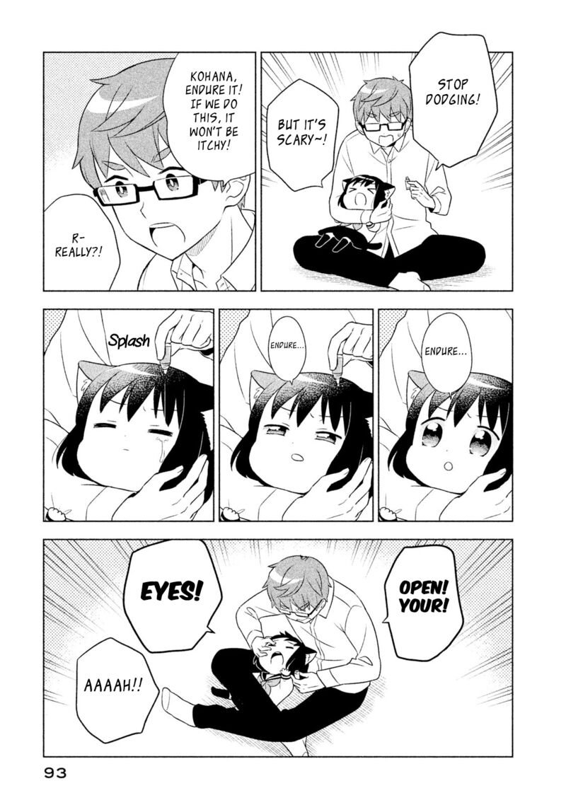 Neko No Kohana 27 7