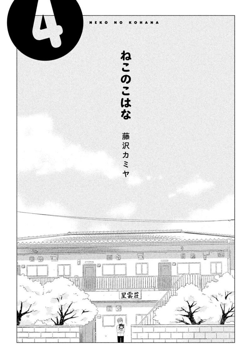 Neko No Kohana 30 3