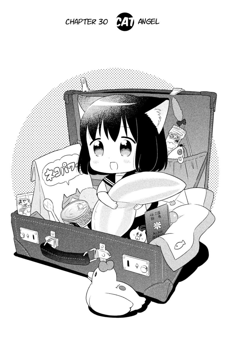 Neko No Kohana 30 5