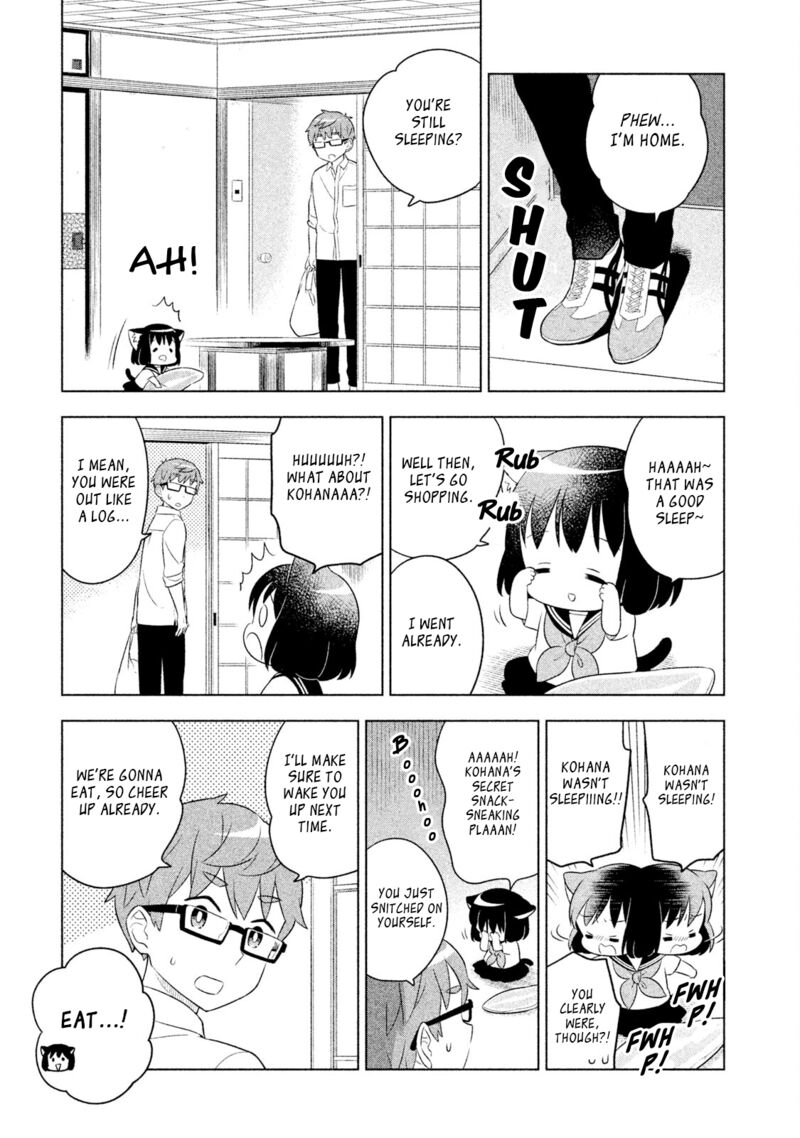 Neko No Kohana 31 3